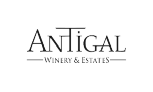 Antigalll